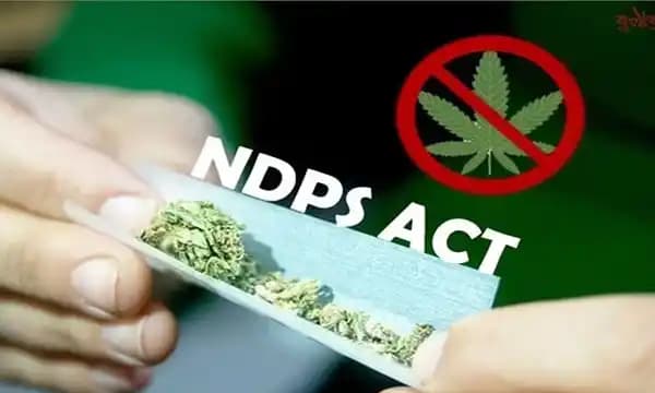 गिरफ्तारी के कारणों की सूचना न दिए जाने पर केरल उच्च न्यायालय ने NDPS मामले में जमानत प्रदान की