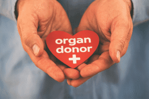 अंग प्रत्यारोपण की आवश्यकता अनुच्छेद 21 के तहत मौलिक अधिकार: बॉम्बे हाईकोर्ट