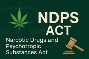 केरल हाईकोर्ट ने देरी से पेशी पर पुलिस को फटकार लगाई, 'अमान्य गिरफ्तारी' पाते हुए NDPS केस में जमानत मंजूर की