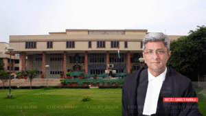 दिल्ली हाई कोर्ट ने चेक बाउंस मामले में पूर्व डायरेक्टर को राहत देने से इनकार किया, कहा- “विवादित इस्तीफे पर ट्रायल ज़रूरी”