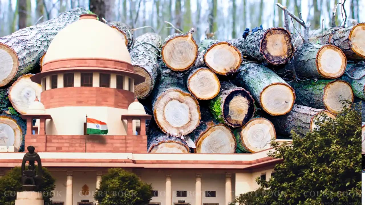 Supreme Court Questions Compensatory Tree Plantation in Hasdeo Forest Coal Mining Case