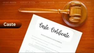 दिल्ली HC: दिल्ली में जारी OBC प्रमाणपत्र सिर्फ़ इसलिए 'प्रवासी' नहीं माना जा रहा क्योंकि पिता के जाति प्रमाणपत्र से होगी दिक्कत 