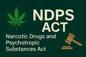 इलाहाबाद उच्च न्यायालय ने एनडीपीएस मामले में सोनू यादव को जमानत दी, प्रक्रियागत खामियों का हवाला दिया