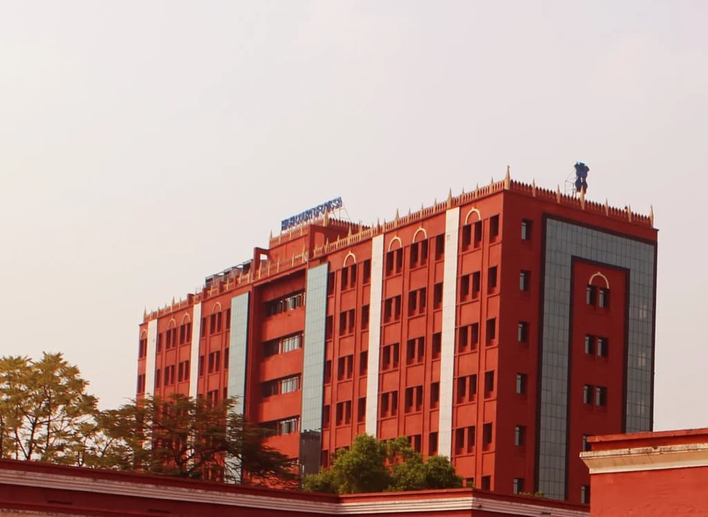 ओडिशा हाई कोर्ट ने हत्या के प्रयास के मामले में दी जमानत, लंबी हिरासत और फ्री-फाइट दलीलों के बाद चोट रिपोर्ट पर की विस्तृत चर्चा