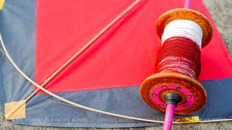 चाइनीज मांझा पर सख्त हुई इलाहाबाद हाईकोर्ट, राज्य से पूछा- आदेश क्यों नहीं हो रहे लागू?