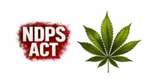 NDPS केस में HP हाई कोर्ट से राहत, कहा– सिर्फ पैसों का लेन-देन ड्रग कारोबार का सबूत नहीं