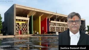 माँ की हैबियस कॉर्पस याचिका खारिज: हाईकोर्ट ने कहा पिता के पास बच्ची की कस्टडी अवैध नहीं