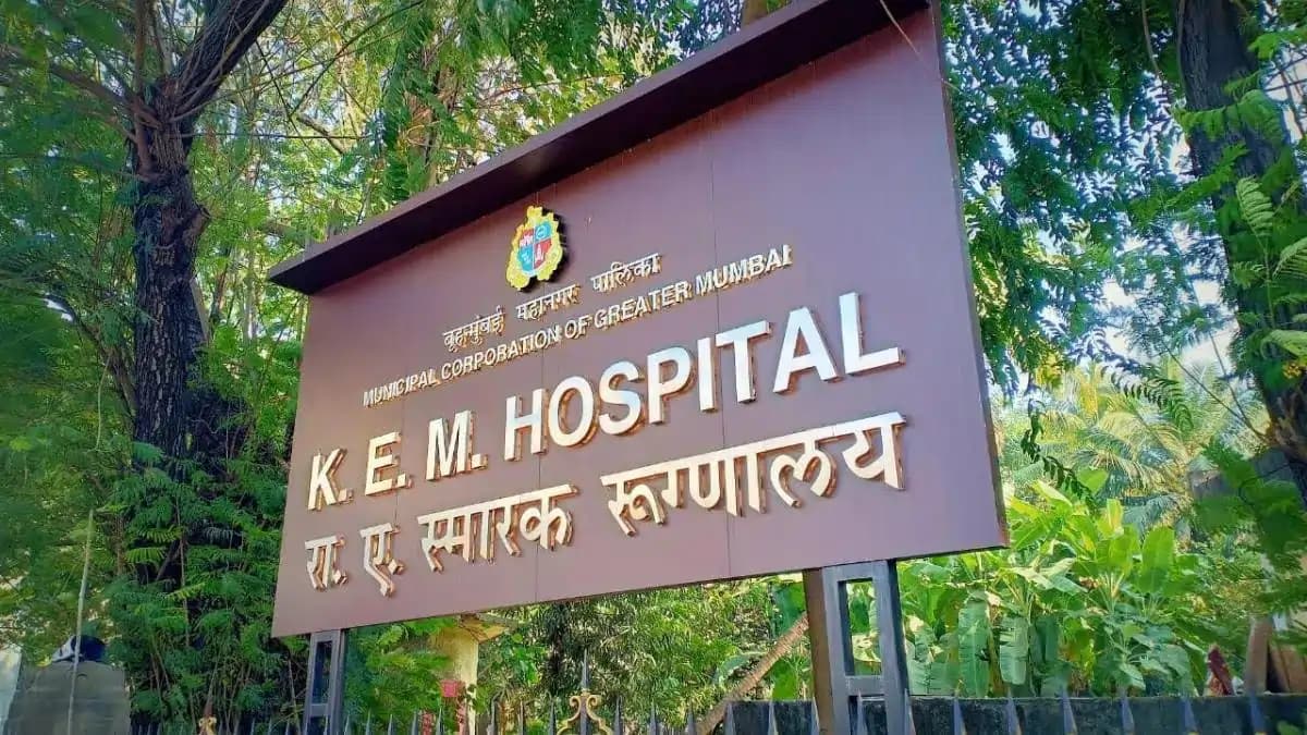 बॉम्बे हाईकोर्ट का बड़ा फैसला: कॉन्ट्रैक्ट पर काम कर रही महिला डॉक्टर को मिलेगा मातृत्व लाभ