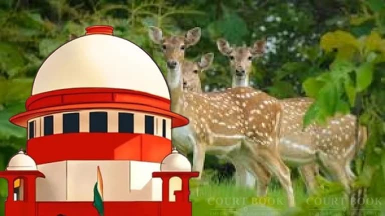 दिल्ली के डियर पार्क से हिरणों के ट्रांसलोकेशन पर सुप्रीम कोर्ट सख्त, पर्यावरण सुरक्षा को लेकर जारी किए विस्तृत निर्देश