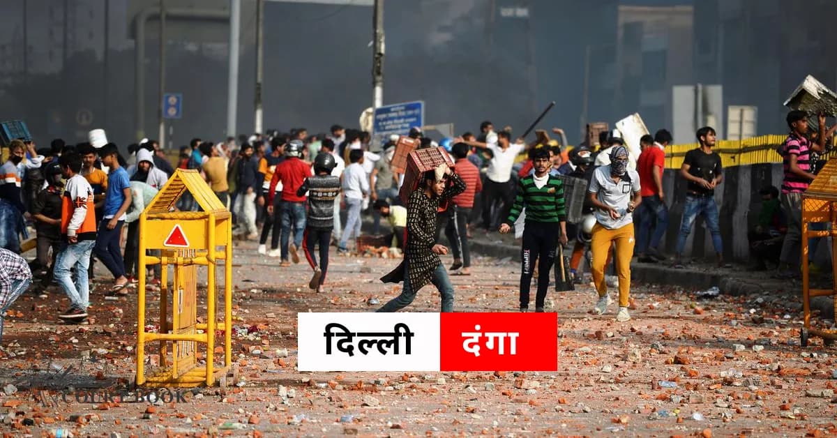 दिल्ली हाई कोर्ट ने 2020 दिल्ली दंगों के UAPA मामले में तस्लीम अहमद की जमानत याचिका पर फैसला सुरक्षित रखा