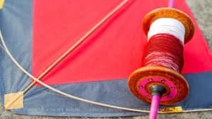 चाइनीज मांझा पर सख्त हुई इलाहाबाद हाईकोर्ट, राज्य से पूछा- आदेश क्यों नहीं हो रहे लागू?