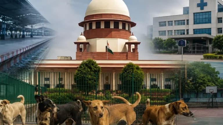 स्कूल, अस्पताल और रेलवे स्टेशन जैसे परिसरों में आवारा कुत्तों को दोबारा छोड़ना जरूरी नहीं: सुप्रीम कोर्ट ने पशु जन्म नियंत्रण नियम की नई व्याख्या की